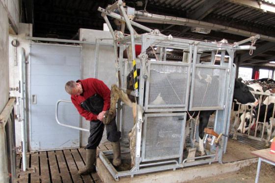 Box multifonctionnel Lely